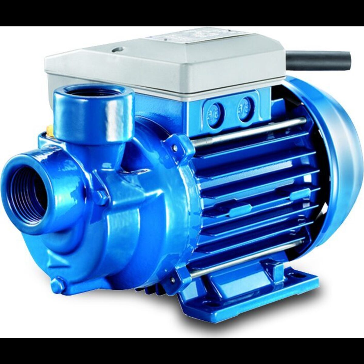 Foras niet zelfaanzuigende centrifugaalpomp, PE