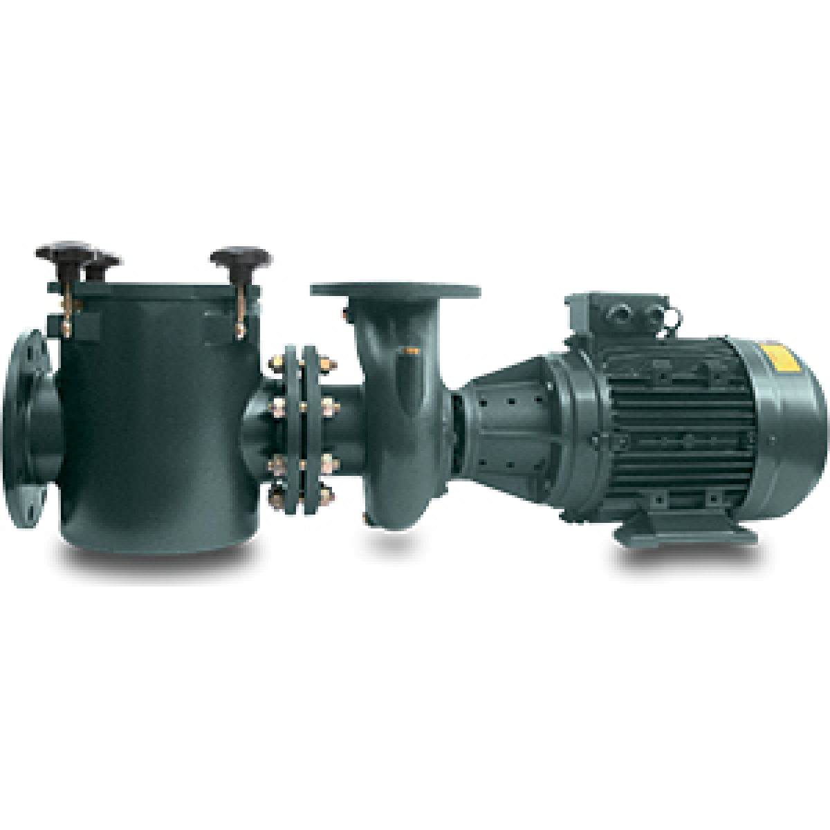 PSH Commerciele zwembad pomp FDN3000