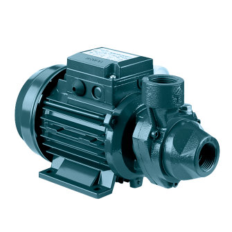 Ebara normaalzuigende peripheral pomp PRA 2.00T 1