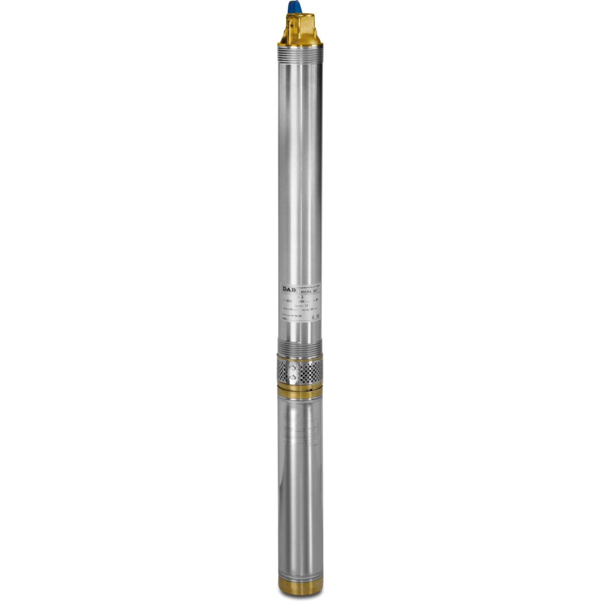 DAB Bronpomp RVS 304 1" binnendraad 2