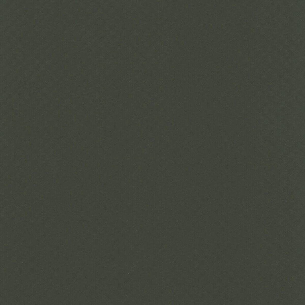 Elbe Basic Line Vijverfolie donkergroen 25m type Natural Supra 2.00m | Aantal 25 M