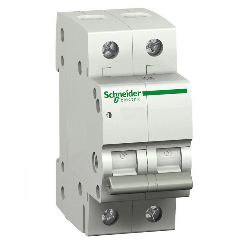 Schneider DOMAE schakelaar 2P 63A