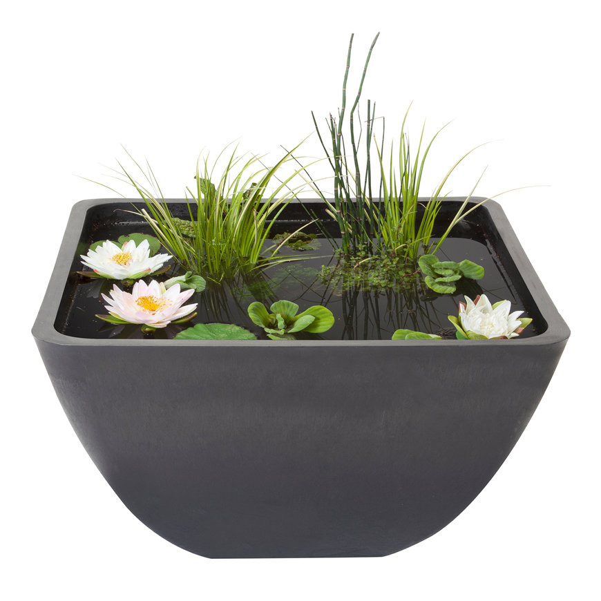 Velda Fountain Pond Square, terrasvijver met fonteinpomp en plantenmand, 55 x 55 x 32 cm